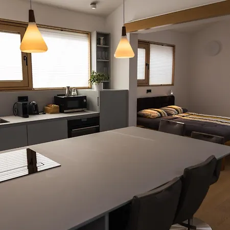 V22 - Premium Apartements شقة ليوبليانا