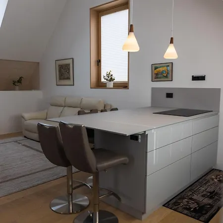 V22 - Premium Apartements * 류블랴나