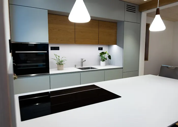 V22 - Premium Apartements Liubliana