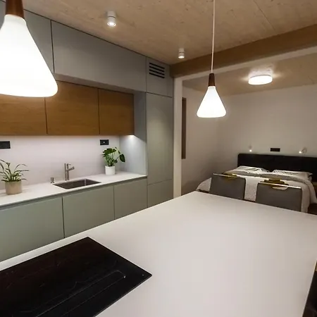V22 - Premium Apartements 아파트 류블랴나